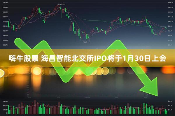 嗨牛股票 海昌智能北交所IPO将于1月30日上会